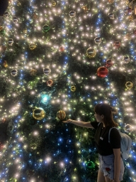 amylsp