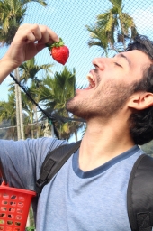 guilearns