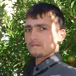 sayafhakimi
