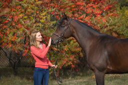 horsegirl