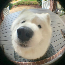 mikiiiii