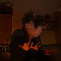 sh28egor